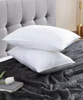 30x50cm Premium Cushion Insert/Pillow