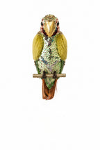 Agra Hanging Parrot