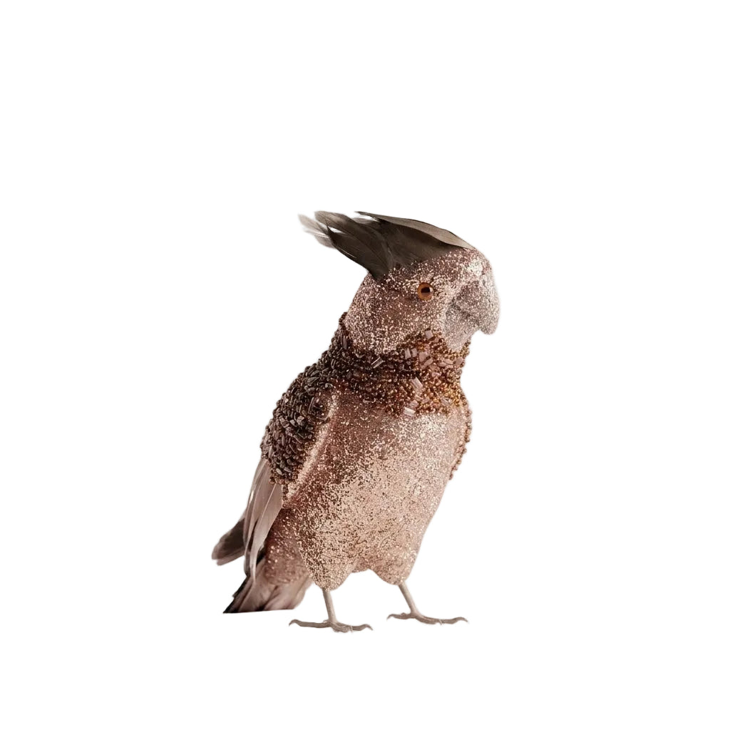 Cinnan Parrot