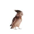 Cinnan Parrot