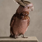 Cinnan Parrot