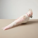 Candyfloss Pink Parrot