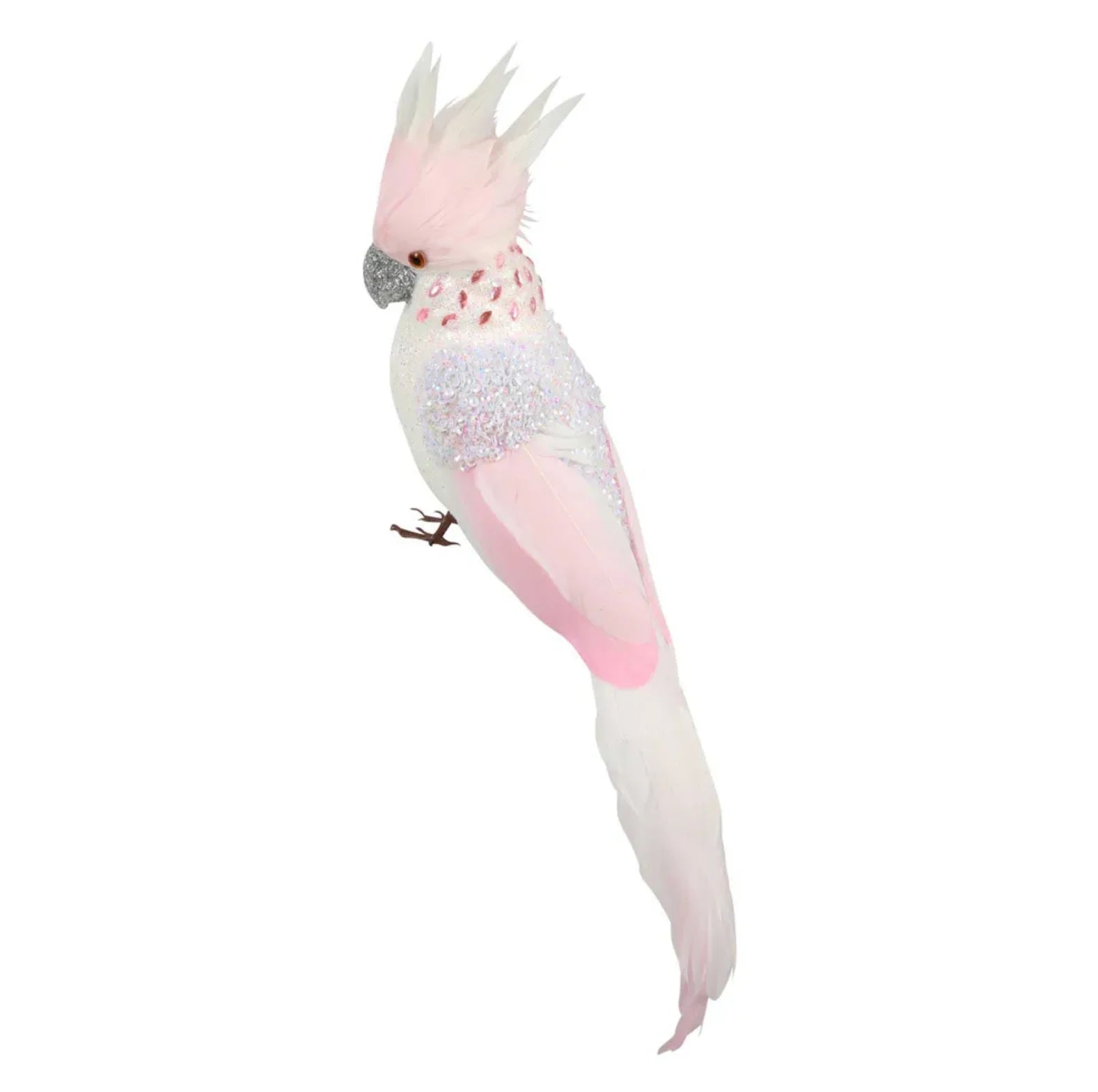 Candyfloss Pink Parrot