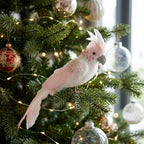Candyfloss Pink Parrot