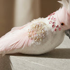 Candyfloss Pink Parrot