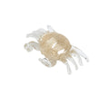 Crab Glass