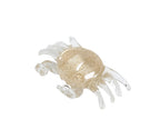 Crab Glass