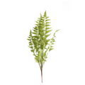 Faux Green Fern