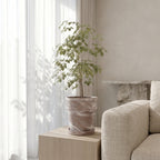 Milano Terracotta Pot