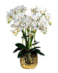 Orchid 4 Stalks and Gold Pot