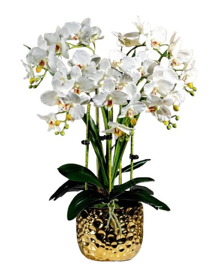 Orchid 4 Stalks and Gold Pot