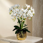 Orchid 4 Stalks and Gold Pot