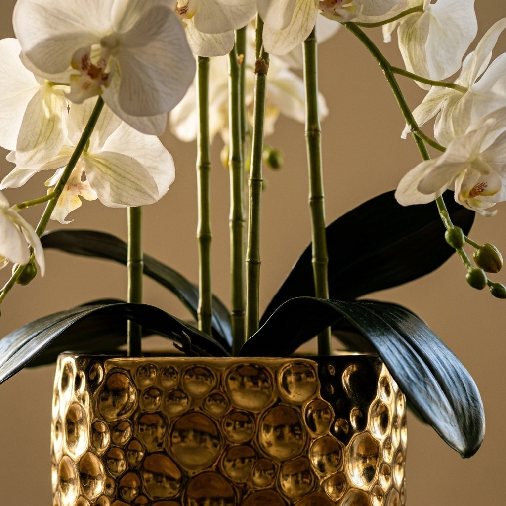 Orchid 4 Stalks and Gold Pot