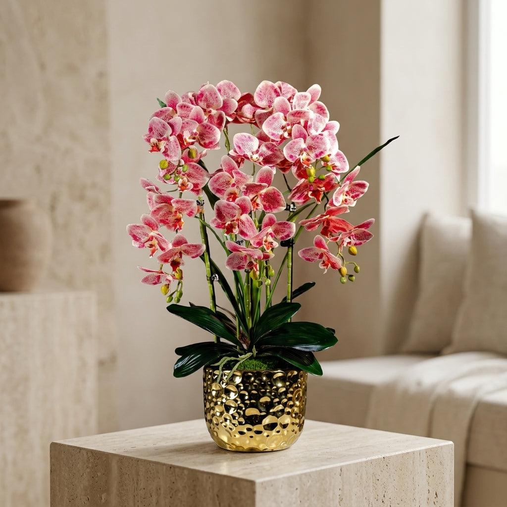 Orchid 6 Stalks w Black Pot Pinky