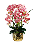 Orchid Gold Pot With 5 Stalks