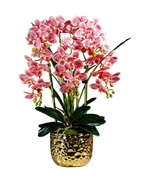 Orchid Gold Pot With 5 Stalks