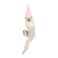 Pinkey Cockatoo