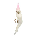 Pinkey Cockatoo