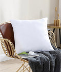 65x65cm Premium Cushion Insert/Pillow