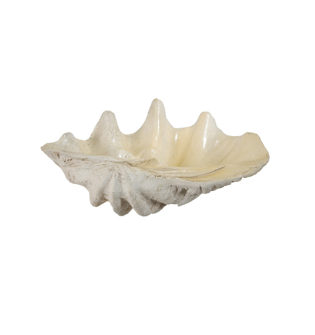 Stacy Shell
