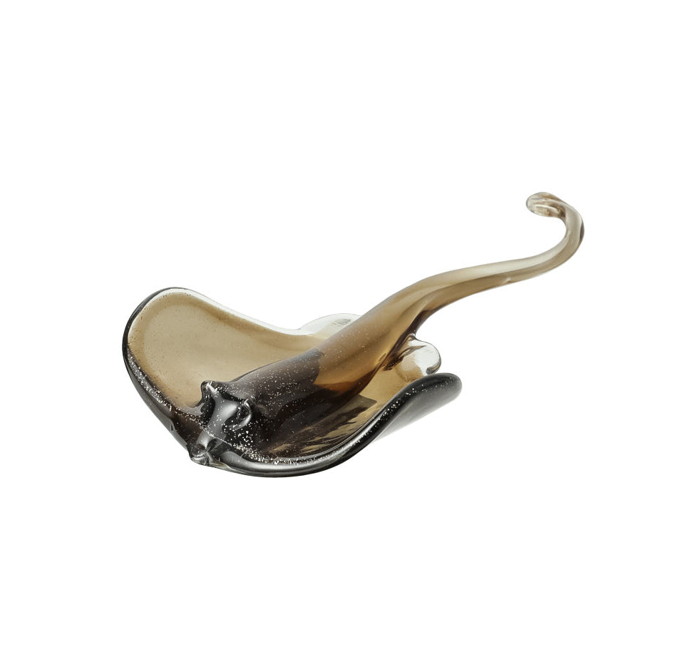 Stingray Glass