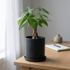 Maxim Ceramic Flower Pot